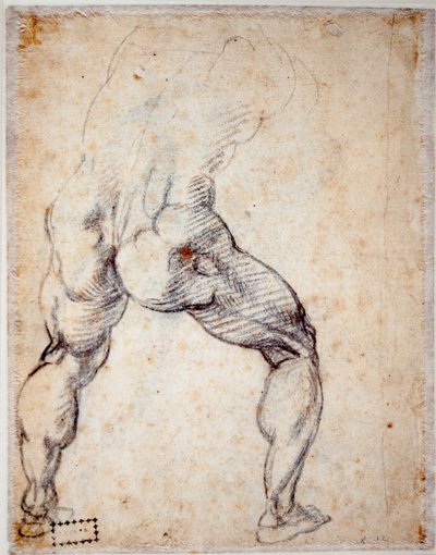 Männer von hinten von Michelangelo Buonarroti